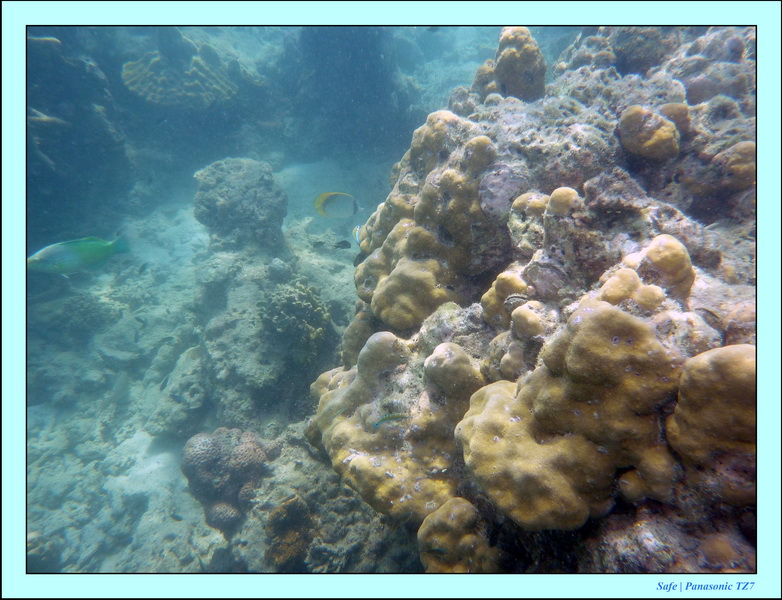 2011 - 03 - Koh Ngai 063